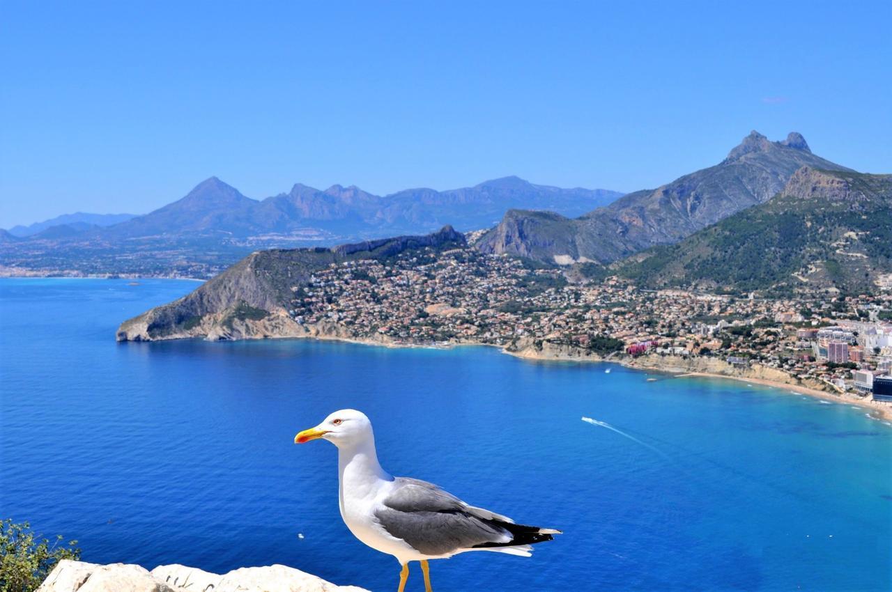 Appartamento Aman128 Calpe Esterno foto
